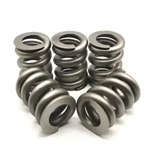 Hastelloy B-2 Springs