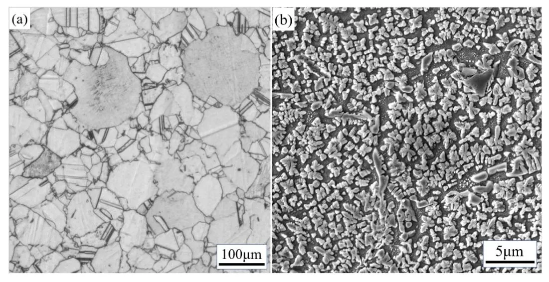 Nickel alloy microstructure after thermal processing
